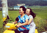 �F���������Ă����Ȃ�����