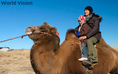 �����S���̃W�F���[