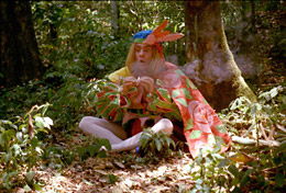 �}�N�i�C�[�}