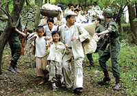 �����Ȓr/1950�N�E�m�O�����s�E����