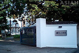 �����p��