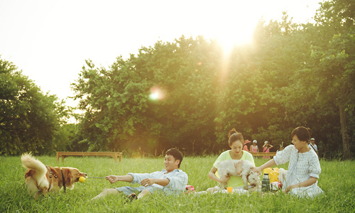 �ꕪ�Ԃ���