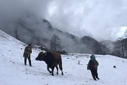 �J�����_�[���̐�