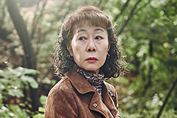 �o�b�J�X�E���f�B