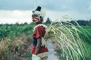 ��������́A�����������