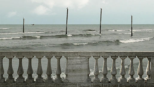 24 �t���[��