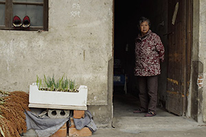 �t�@������