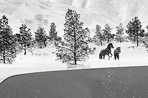 24�t���[��