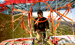 �w�����ꂽ�S�~������x