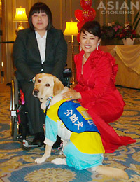 �W���f�B����Ɖ��