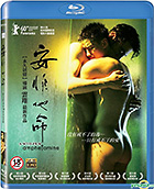 �A���t�F�^�~��