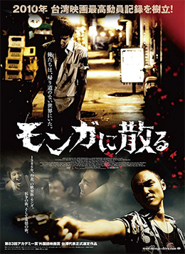 �����K�ɎU��