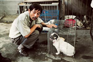 �킪�Ƃ̌��͐��E��