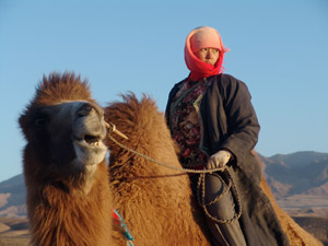 �g�D���[�̌���