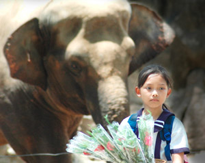 �n���ł����΂�K���ȏꏊ