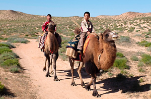 �l�����̉� (����) �ɋA�낤