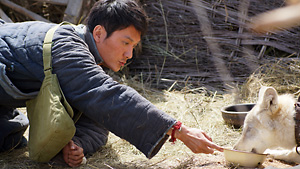 �_�Ȃ�I�I�J�~