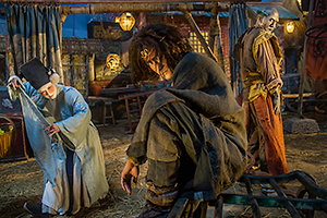 ���V�L2�`�d���̋t�P�`