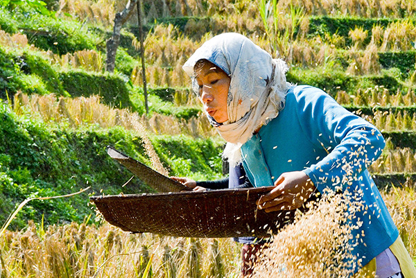 ���܂˂�����