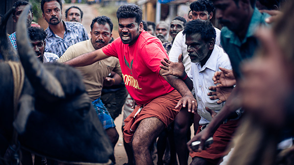 �W���b���J�b�g�D�@���̓{��