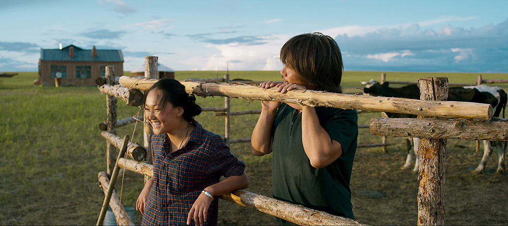 ��n�Ɣ����_