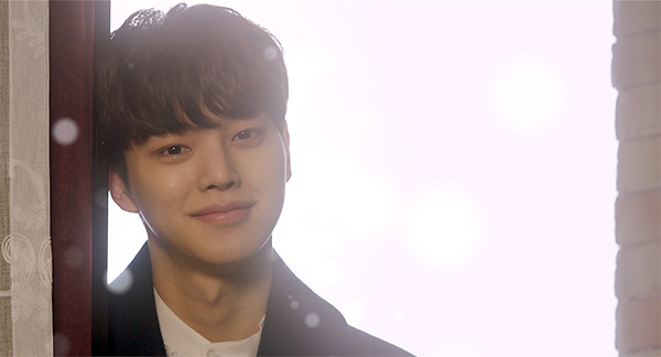 �r���[�e�B�t���E���@���p�C�A