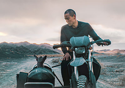 ブラックドッグ