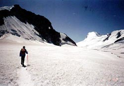 �g���b�L���O